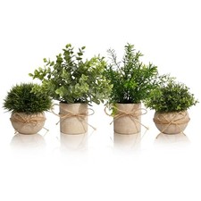 Set of 4 Small Potted Eucalyptus Plants for Bathroom Shelf Green Rosemary I