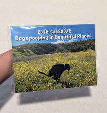 Dogs Pooping In Beautiful Places 2025 Calendar