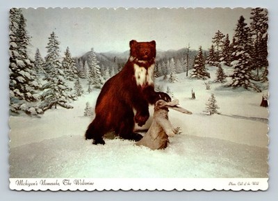 The Wolverine Michigan's Namesake Animal Heavy Fur Coat