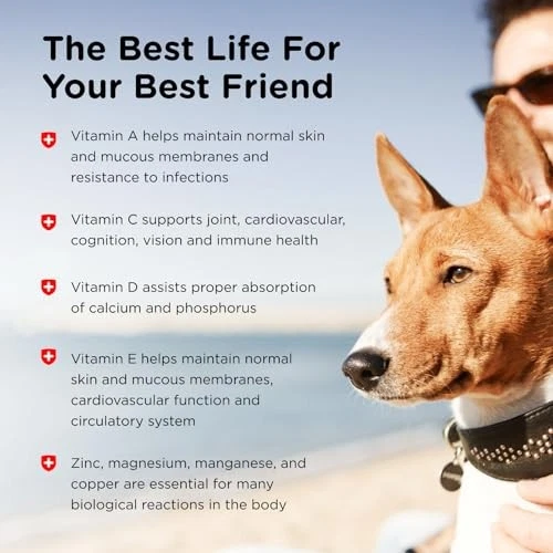 Nutri-Vet Adult-Vite Plus Soft Chews - Image 4 of 4