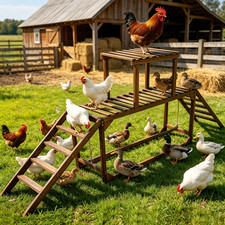 Long Chicken Perch for Coop w/Swing&Ladder Chicken Roosting Bars Poultry Habitat