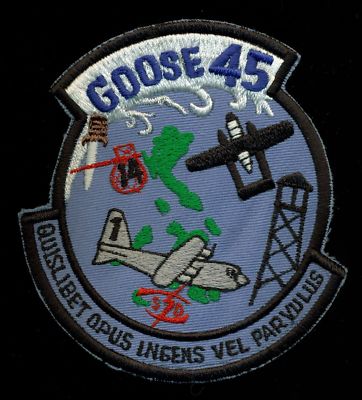 USAF 1st SOS Special Operations SQ Goose 45 Patch S-7 | eBay