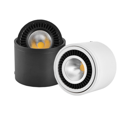 LED COB Ceiling Light Picture Spotlight Fixture Dimmable/N Rotatable Lamp Hotel