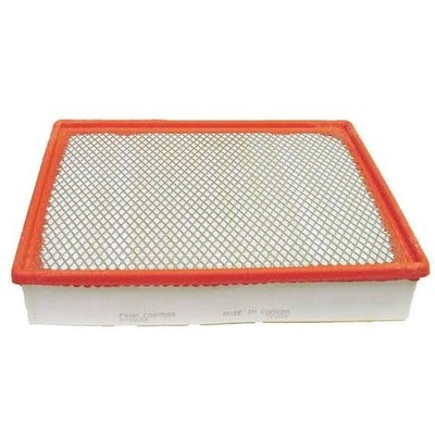 American Motorhome RV .Fram ca8755a air filter Chevy Gmc Cadillac