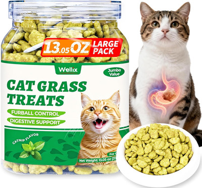 Wellix 13.05oz Organic Cat Grass Treats with Catnip & Salmon - Healthy Cat Treat