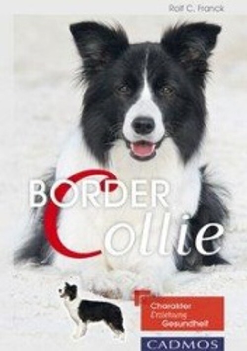 Thumbnail - Border Collie | Charakter, Erziehung, Gesundheit | Rolf C. Franck |