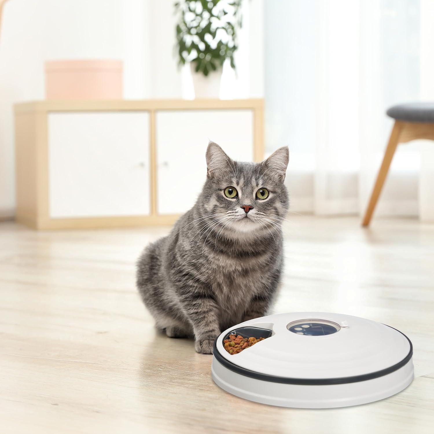 Elegante Dispenser Automatico 6 Pasti per Gatti Chic: Dieta e Timer - 2