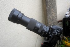 Sigma 100-400mm Contemorary Lens Nikon Mount