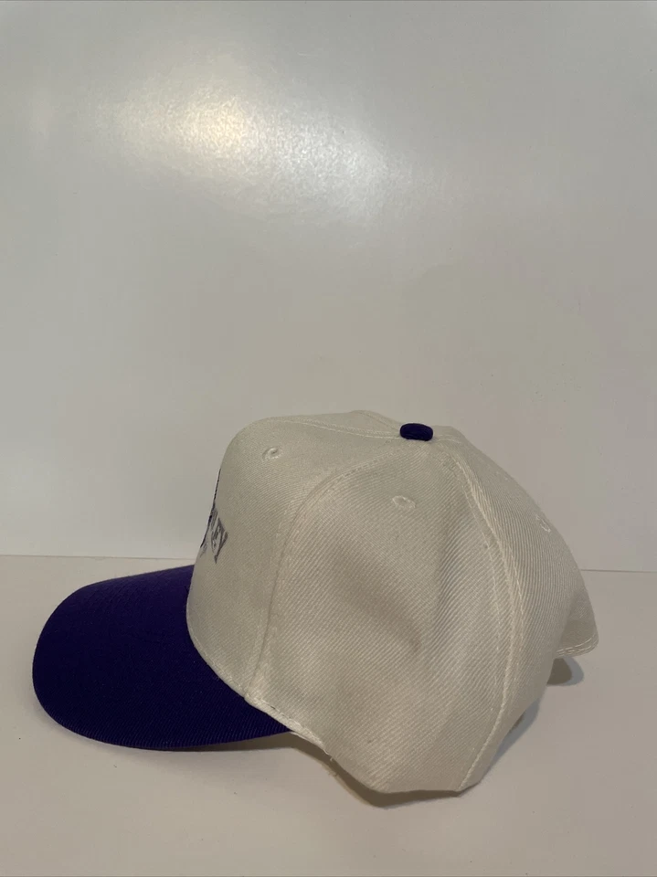 Sombrero de camionero vintage bordado Ken Grumley camión Snapback lana y acrílico Foto 3 de 4