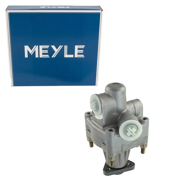 Meyle Hydraulikpumpe Lenkung FüR Audi 80 B2 B3 B4 Cabriolet B3 Coupe B3 1.6-2.3-image
