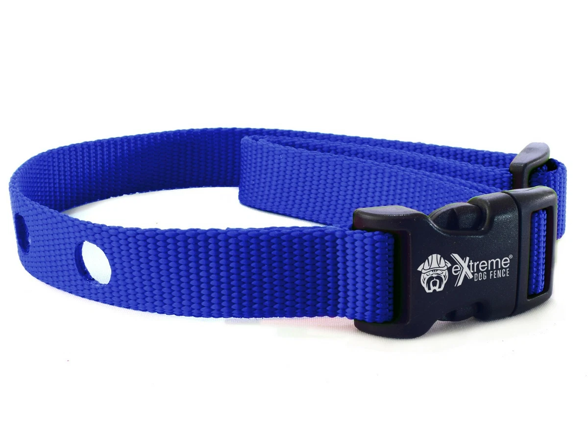 Extreme e cheap collar