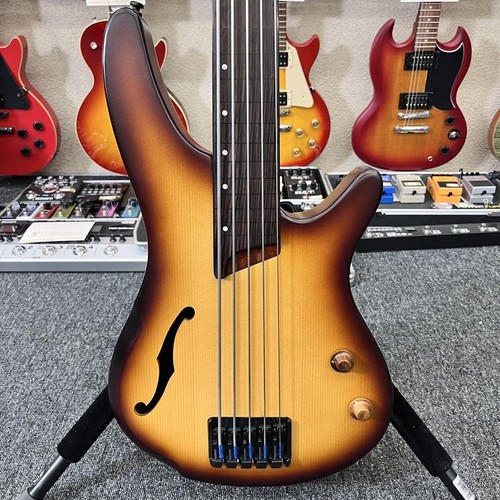 Ibanez SRH505F Fretless Bass 5-Saiter Bass Sichere Verpackung!
