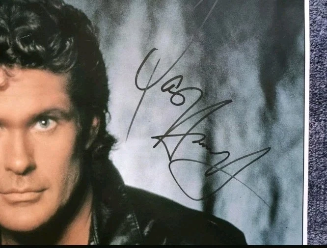 David Hasselhoff Konzertplakat DIN A1 mit Original Autogramm Dortmund 1990 - Bild 4 von 4