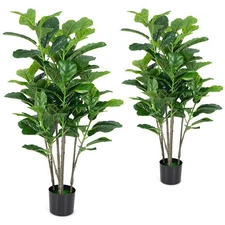 51 Inch 2-Pack Artificial Fiddle Leaf Fig Tree for Indoor and Outdoor - Color: G