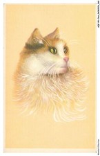 AQFP8-0540-GATTO - Ritratto Di Gatto