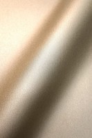 Newroom Vliestapete Beige Metallic Struktur Elegant Wohnzimmer Schlafzimmer