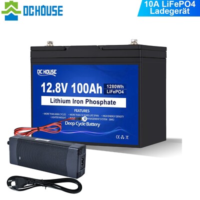 12V 100Ah LiFePO4 Lithiumbatterie mit 10A Ladegerät Trolling Motoren RV Camper