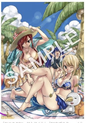 Fairy Tail Visual Cloth Poster B2 Hiro Mashima GUILD BOX Special Benefits Japan