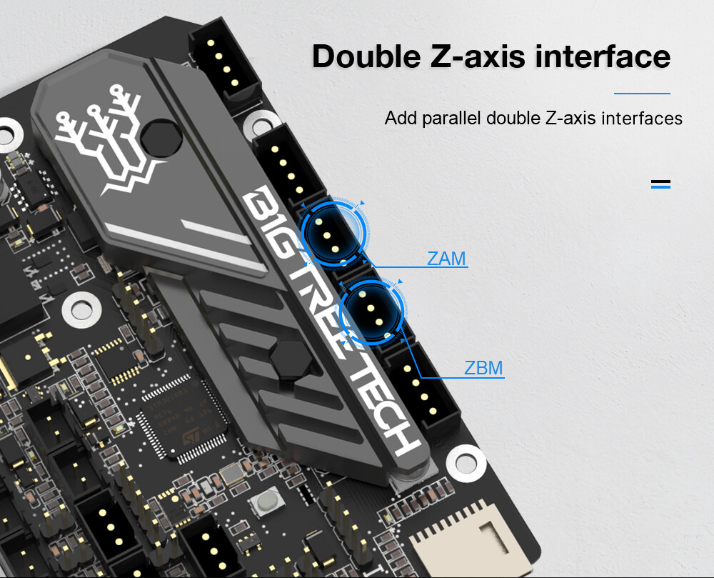 Zdjęcie 5 z 12