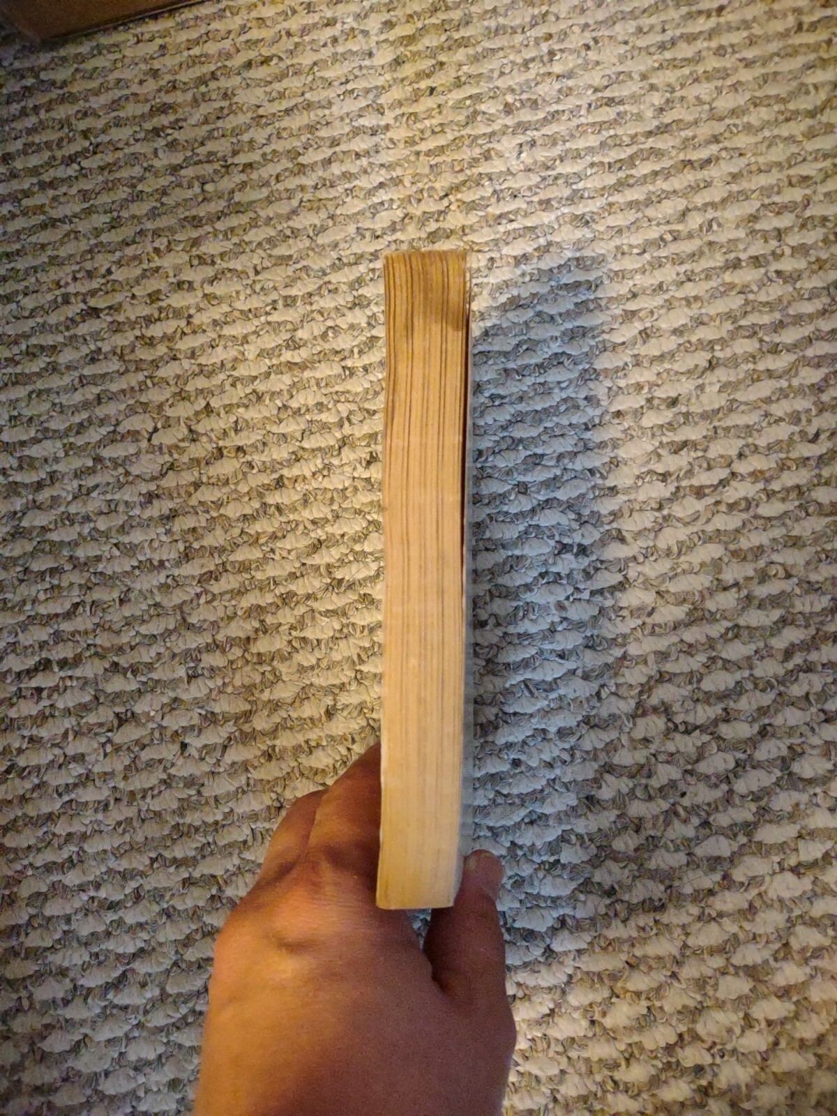 Picture 5 of 7