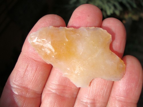 2" Creamy CORAL LOCKLOOSA NEWNAN Georgia Florida Arrowhead ~86~