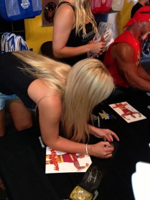 FIRMADO BROOK HOGAN SAMOA JOE JAMES STORM 2010 TNA IMPACT Campeonato CINTURÓN TÍTULO Foto 3 de 4