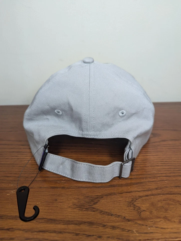 Sombrero Patagonia Gorra Trad Gris Corona Baja Fitz Roy Icono No Estructurado Papá Correa Trasera Foto 3 de 4