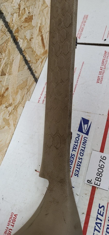 Dodge Ram 1500 2009-2018 puerta del pasajero delantero derecho umbral placa de desgaste moldura OEM Foto 4 de 4