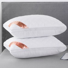 2 Pack Queen Size Pillowcases Hotel Bed Pillows Hypoallergenic Machine Washable