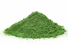 Moringa Powder USDA Certified Organic Oleifera Bulk Wholesale