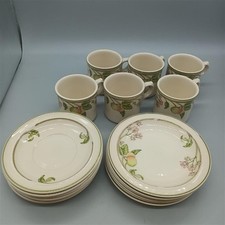 Wedgewood Wild Apple Mug and Saucer Set - 18 Piece Set