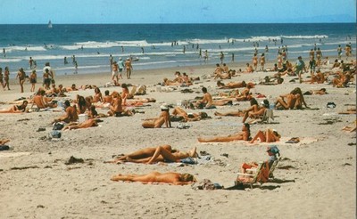 Nude Sunbathing Black’s Beach San Diego California 1982 Mailed Postcard