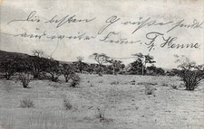 DSWA Deutsch-S&uuml;dwest-Afrika AK Partie aus dem Kuibis-Revier gel. WINDHUK 1907