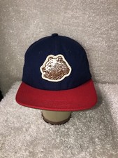 Grizzly Bear Griptape Hat SnapBack Blue Red Patch Skateboard Cap