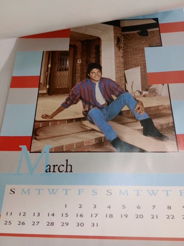 Michael Jackson 1984 Calendario Ufficiale, 12" X 16", VG - Foto 4 di 16