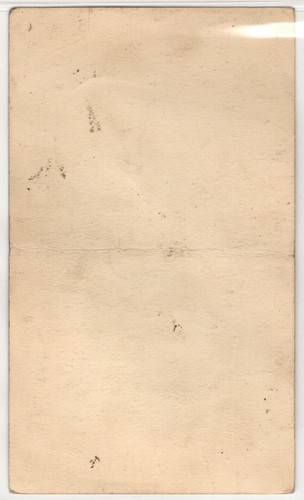 1936 Canadian Goudey Wide Pen R314 Walter Purcey Toronto Maple Leafs Rare - Picture 2 of 3