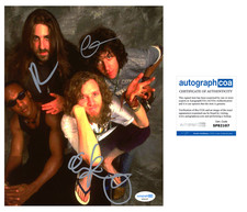 'Spin Doctors' Band Signed 8x10 Photo 'Chris Barron, Aaron & Eric' ACOA