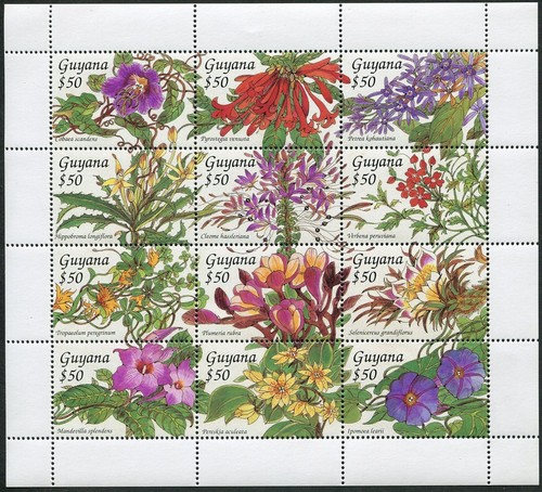 Guyana 2790 sheet, MNH. Michel . Tropical Flowers, 1994. - Picture 1 of 1