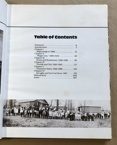 Gary: A Pictorial History (of Indiana) James Lane & Ronald Cohen, 1983 HC/DJ - Foto 10 di 13