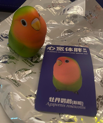 LAUGH AND GROW FAT Papagei Vogel Serie von Animal Heavenly Body Blindbox Figur - Bild 8 von 11