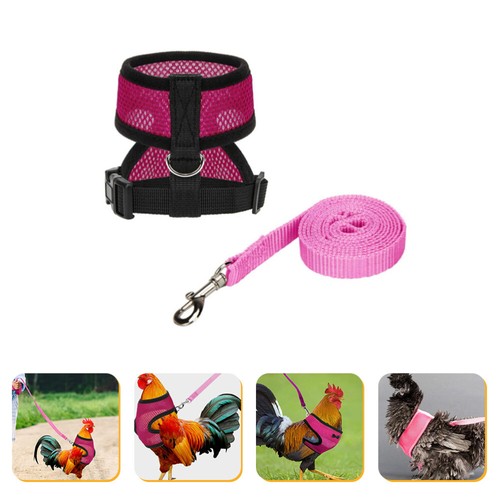 Pet Chicken Leash Rooster Harness Bird with Leashes and Harnesses - 第 8/12 張圖片