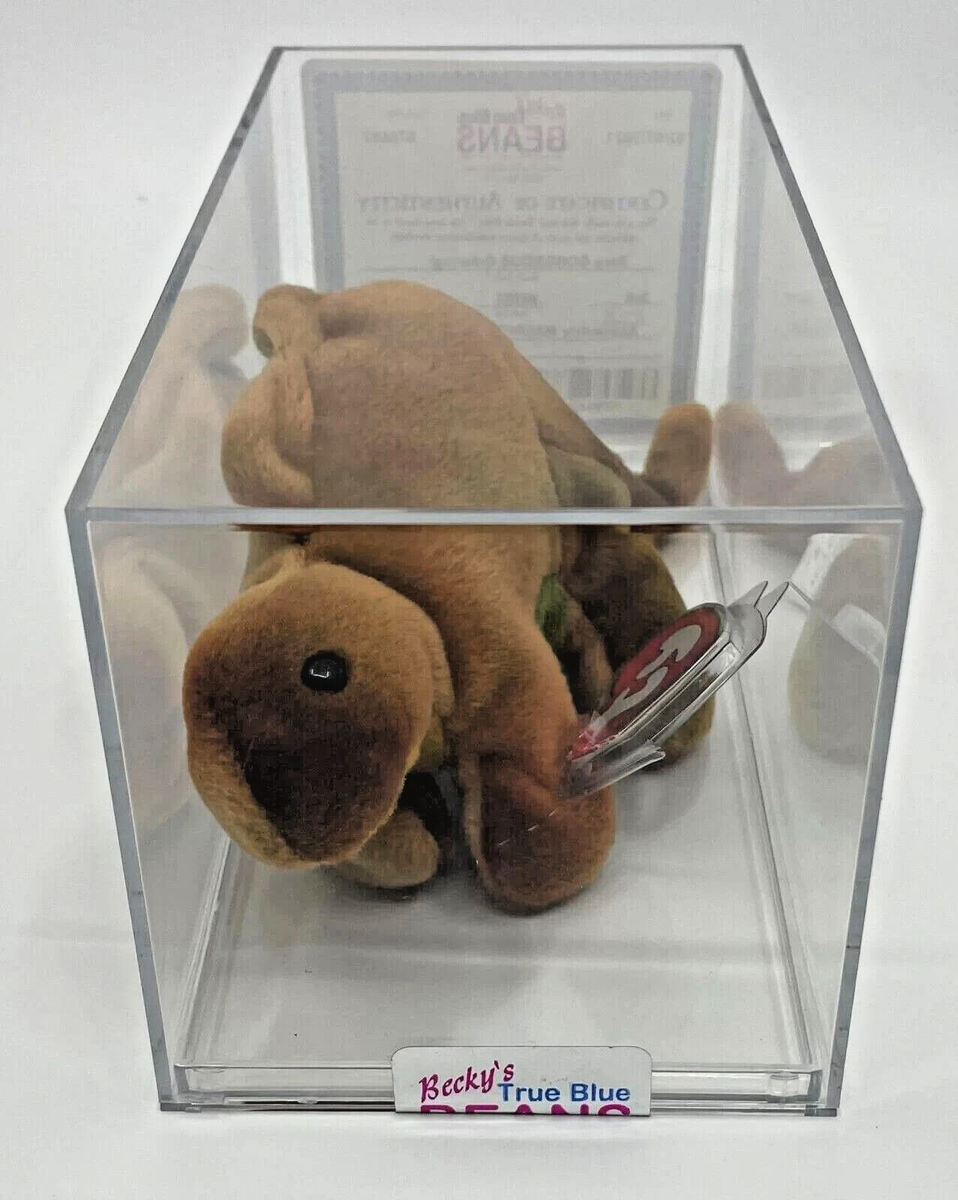 Steg Retired Dinosaur Ty Beanie Baby Authenticated by Becky True Blue Beans