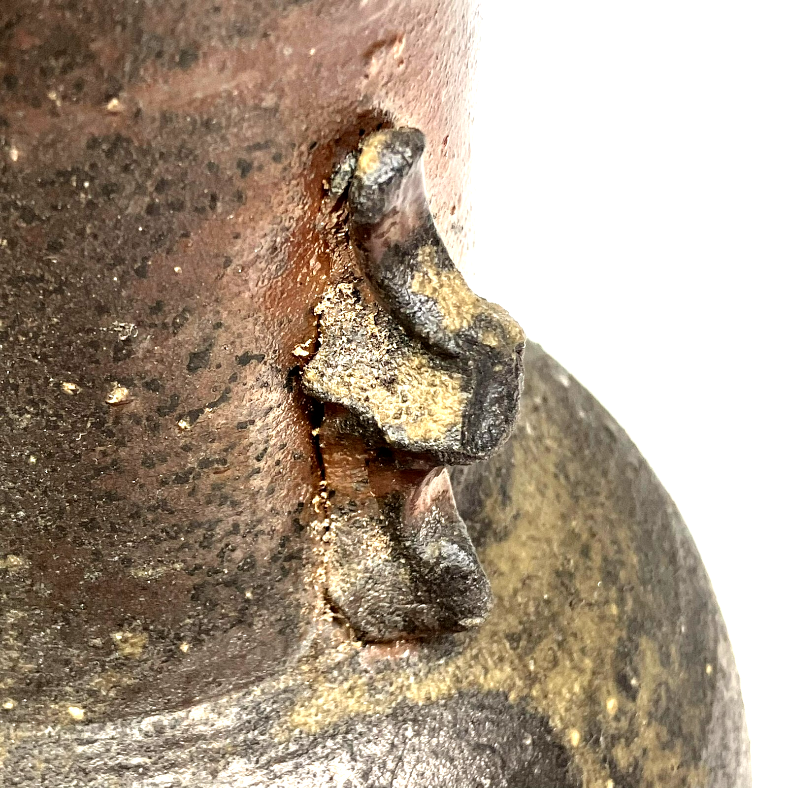 Picture 5 of 21