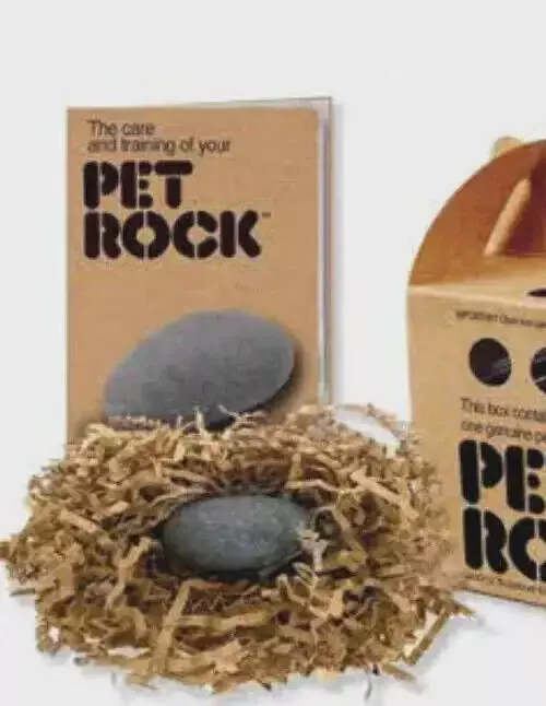 Official PET ROCK Genuine Pedigreed Minions Stone