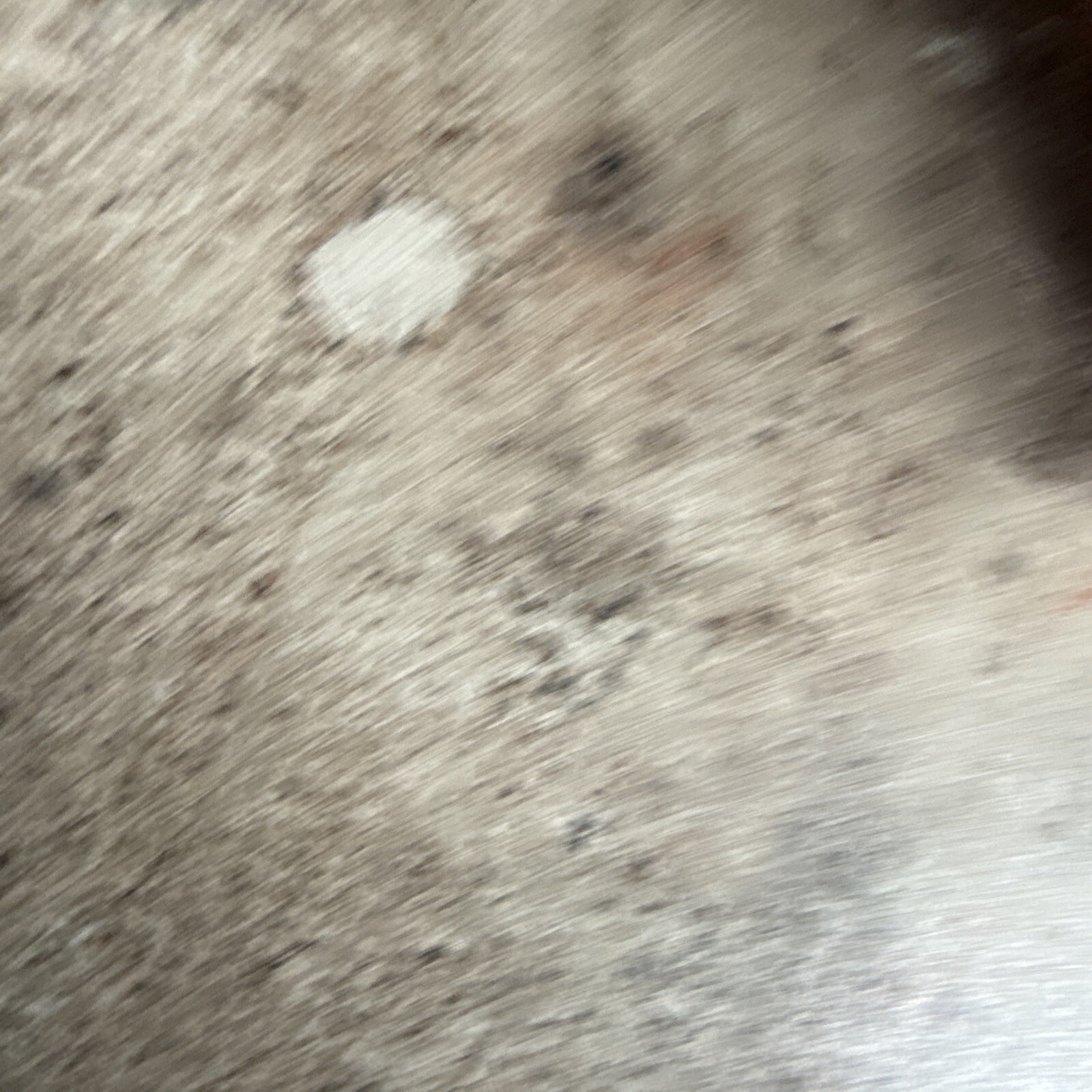 Bild 2 von 4