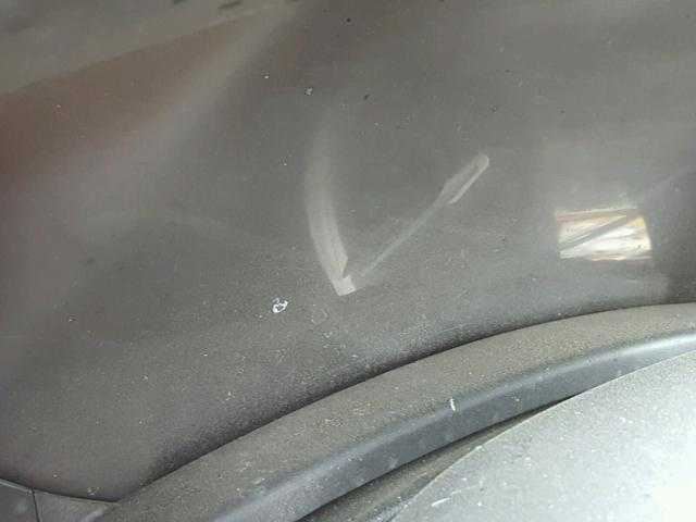 Picture 12 of 12