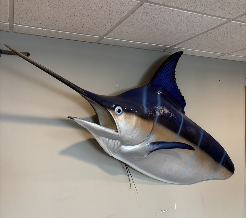 Blue Marlin Fish Mount