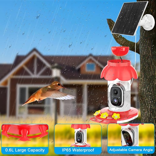 Hummingbird Feeder with Camera, Smart Hummingbird Feeder Camera Solar Powered... - Picture 5 of 9