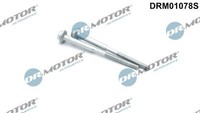 Dr.Motor Automotive DRM01078S Schraube, EinspritzdüSenhalter FüR Audi Seat VW