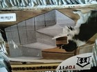 Foto 8 di 8